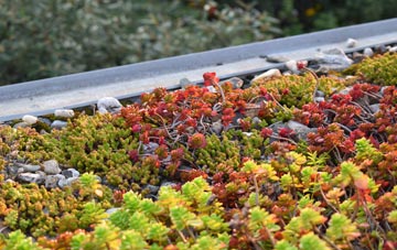 the cost of New Basford green roof installation