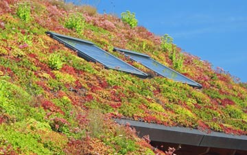 New Basford living roof systems