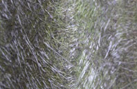 New Basford fibreglass roof work